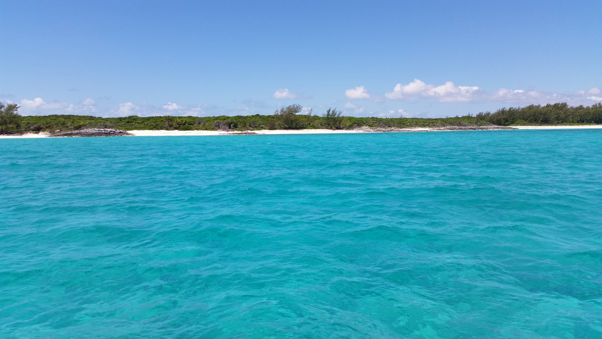 Daydreaming about #BahamaBlue #Bahamas #TBT #BeachLife