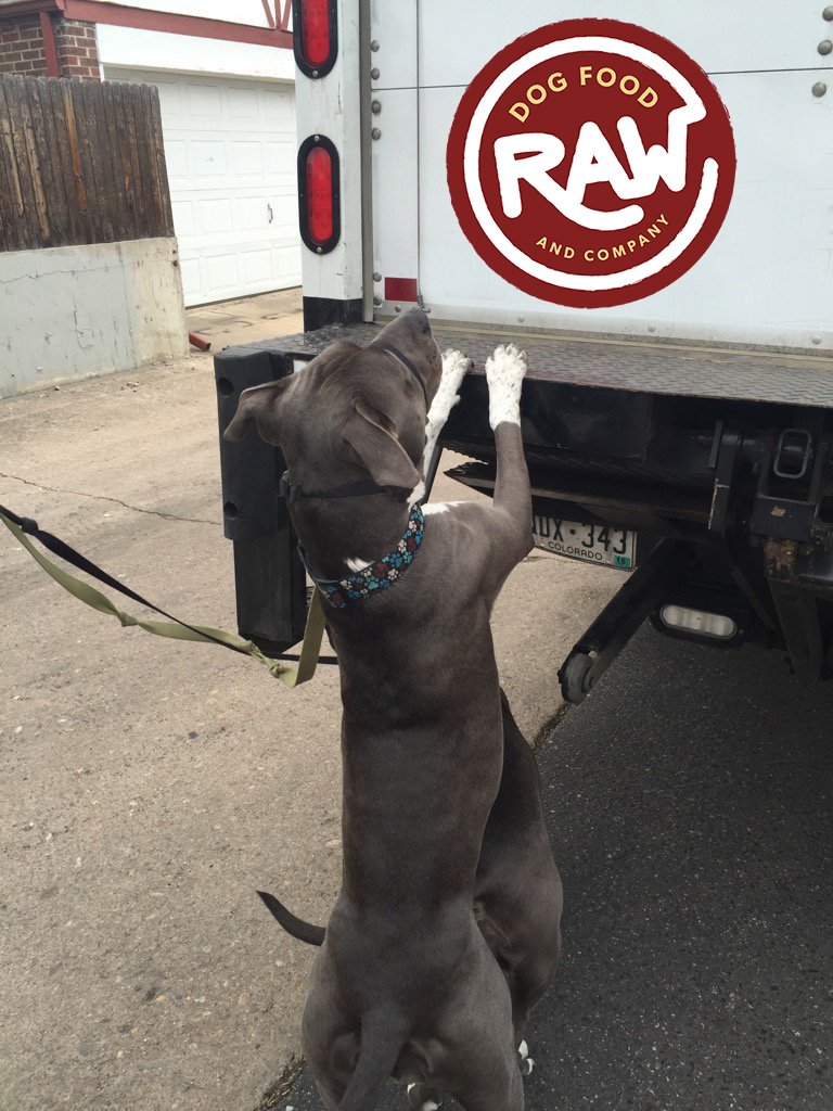 rawdogfoodandco's tweet photo. Where's my Raw Food!
Next Delivery... 4-2-16 
Raw Dog Food and Company is stocking up. See you all in April! https://t.co/wzIuXqNxQo