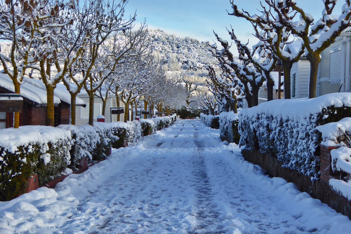 ayeste8's tweet photo. Comparativa feta al @campingprades. La primera fotografia és diumenge migdia i la segona dimarts tarda. https://t.co/S2AMOqCe4Q