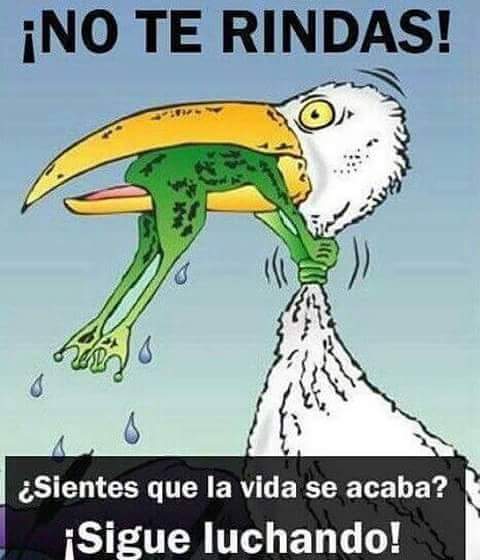 dayanaandreabg's tweet photo. #QuienEducaTuHijo @JUANPABLOANGEL https://t.co/ze1DnnxQR6