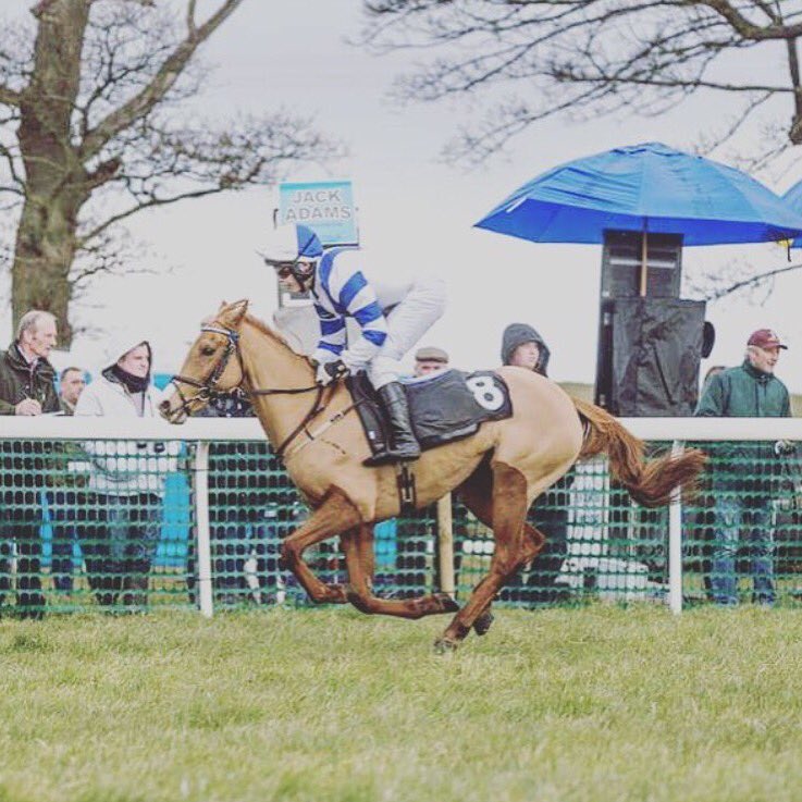 no1todd's tweet photo. 2 wins yesterday #easy https://t.co/Wbs0uzSgNE