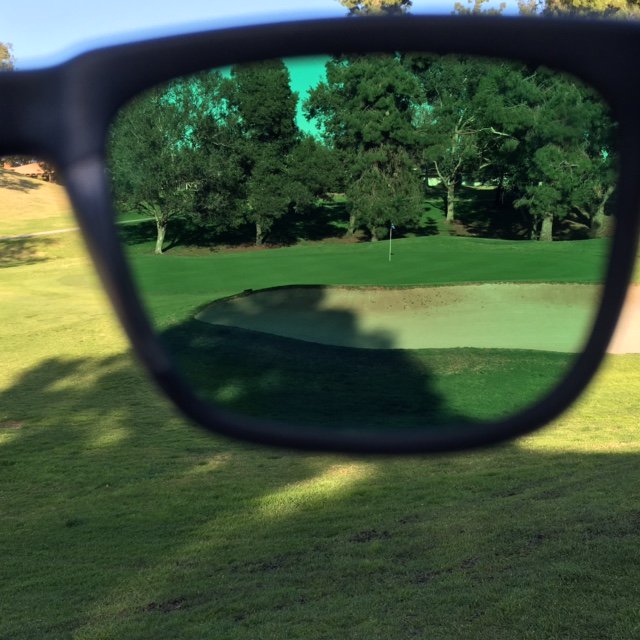 Chirping Birdie tweet media