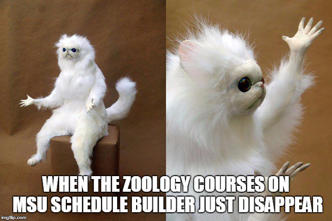 msu schedule builder msu schedule builder