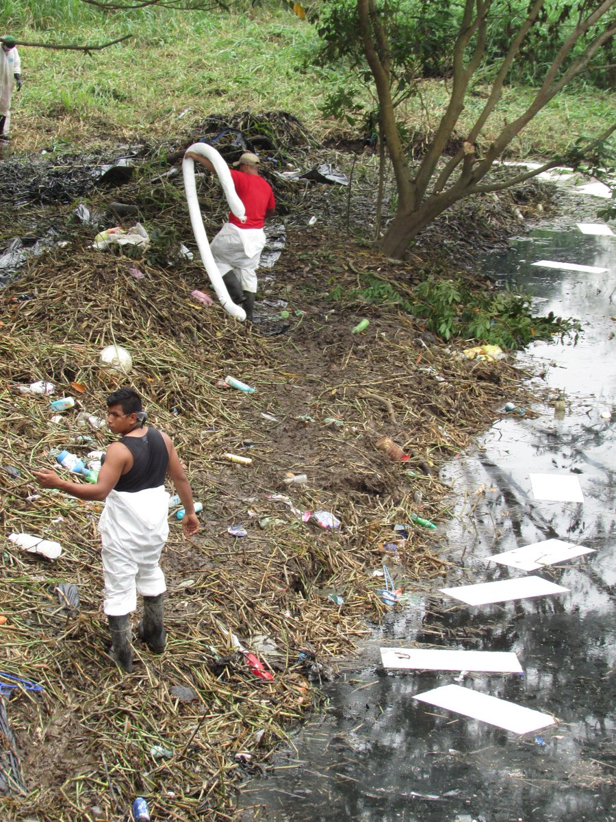 ProcivilTabasco's tweet photo. Realiza empresa ISALI trabajos de remediación ambiental en Medellín y Pigua 3ra sección: IPC
https://t.co/ykvHIZXaf5 https://t.co/5nb0ncKq8b