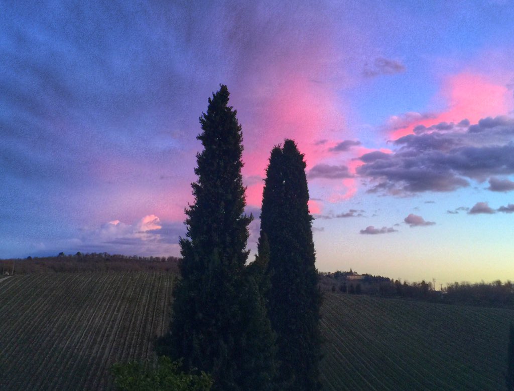 Ended the day with stunning #pinkskies over the #vineyards #tramonto #sunset #lifeisbeautiful #winterintuscany