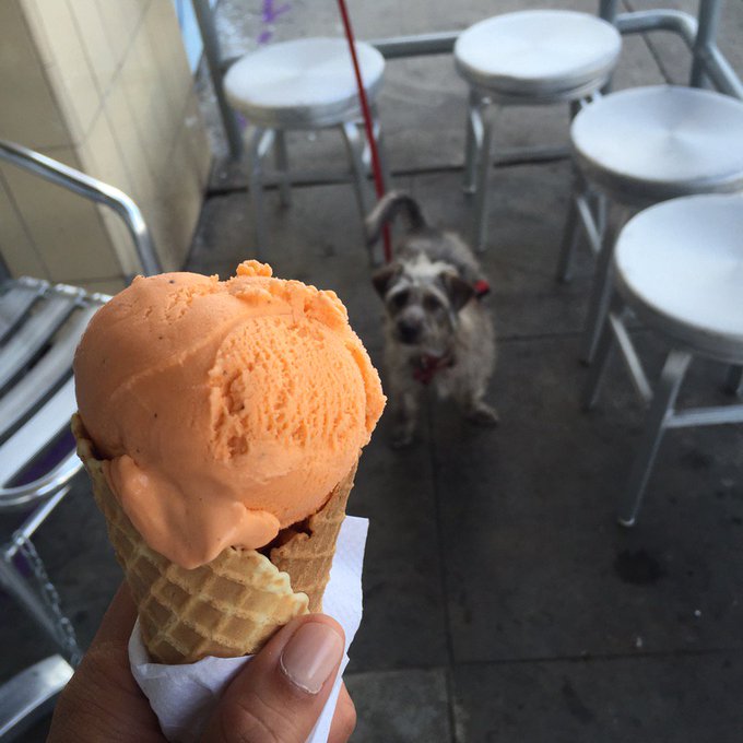 Reasons I love San Diego. Can't wait to be home with my darling loves. https://t.co/wSiEJ5dhk2<a href="/tag/ourbodiesourchoice"class="tags"><span>#ourbodiesourchoice</span></a>