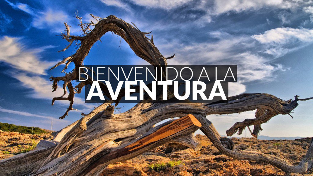 thewildibiza's tweet photo. ¡¡¡Únete a la #aventura!!!

Aquí tienes diferentes alternativas de pasártelo bien.

https://t.co/IBEQMEDCnI https://t.co/tVzLfx6JLr