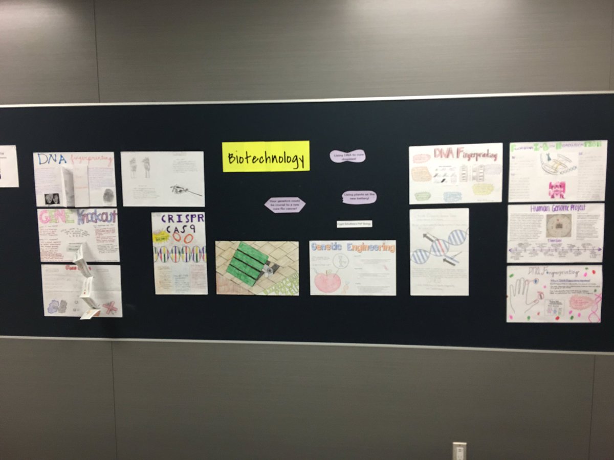 CoachSchultheis's tweet photo. Genetics Project! #PAPBIO @Murphyjg5 @WillSkelton @FMHS9 https://t.co/TxYUTWeeBB