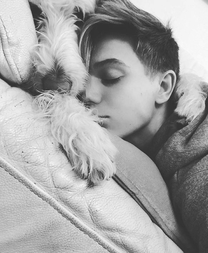 RonanParkeLT's tweet photo. "I have the best pup in the world ♥" https://t.co/oCncu6P5cC