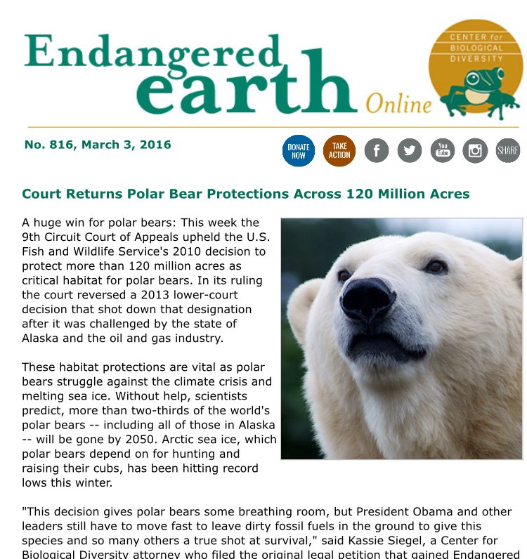 coldburrn's tweet image. Huge Win for polar bears and their habitat! #NRT255
