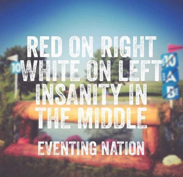 Insanity in the middle #horses #equestrian #equestrianhour #EquineHour #insanity #eventing #inthemiddle