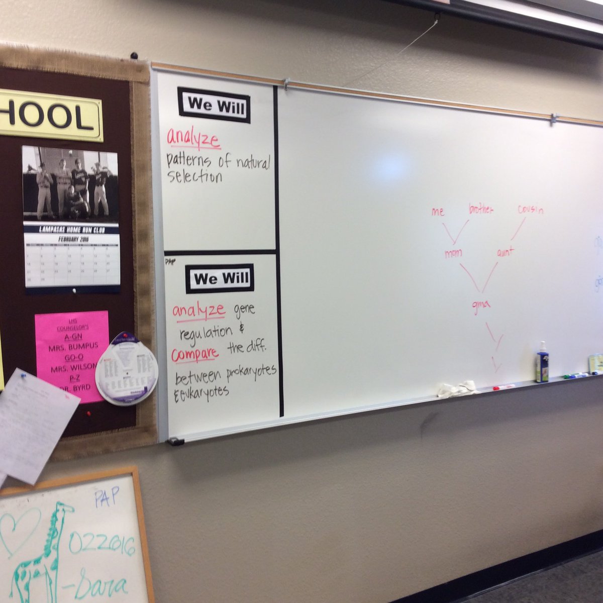 wellsbio's tweet photo. Daily LOs.... #lisdformula100 https://t.co/Zo3syH1B3m
