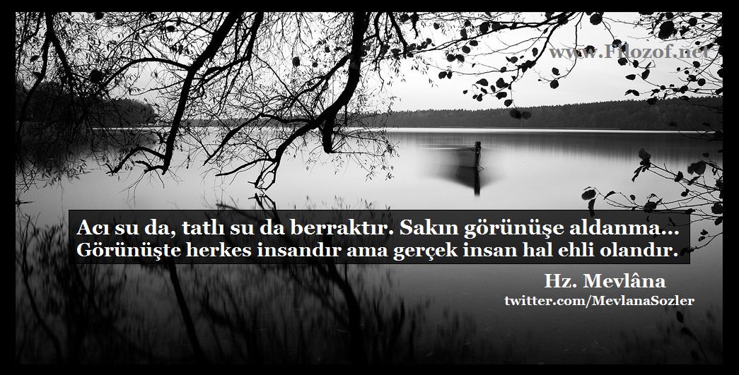 seyhan ozbek seyhan ozbek twitter