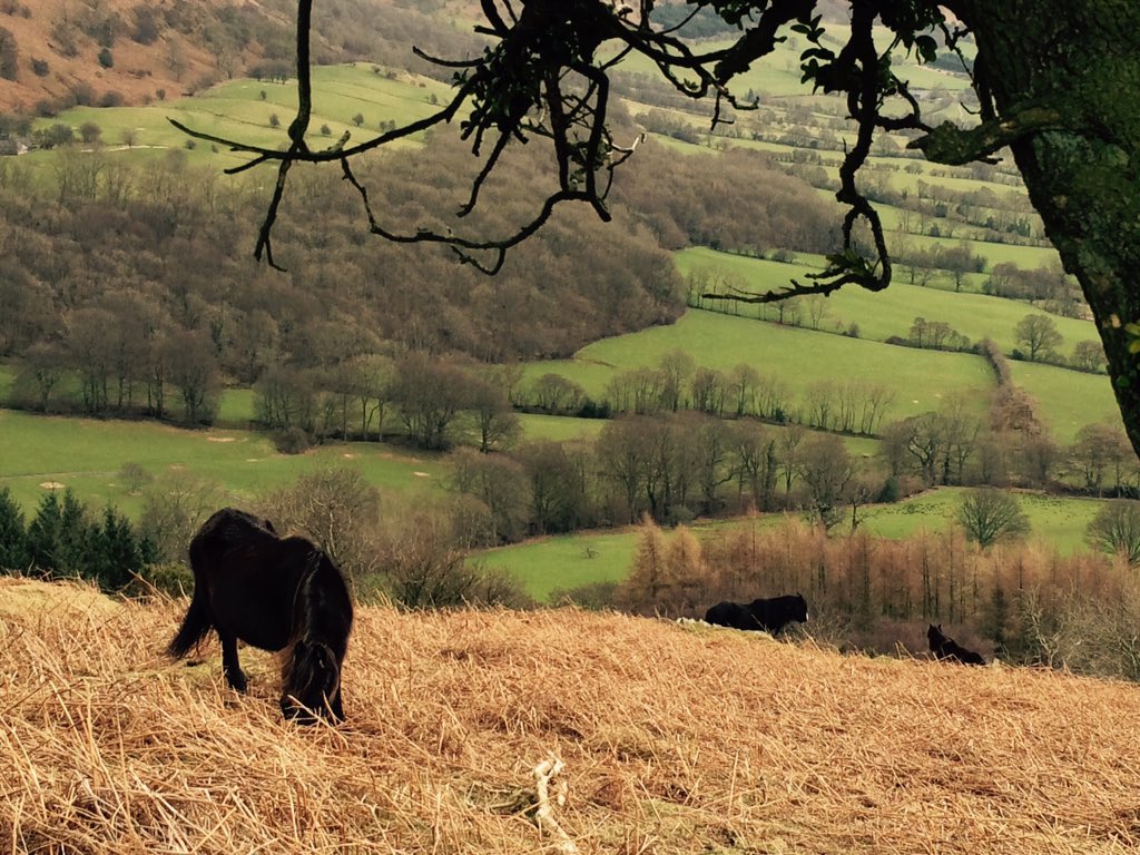 fauxidermy_uk's tweet photo. #beautiful day #walking with #hubby today #llanthony valley #blackmountains #breconbeacons 11miles 😌 #FindYourEpic https://t.co/JOqxeOPPhC