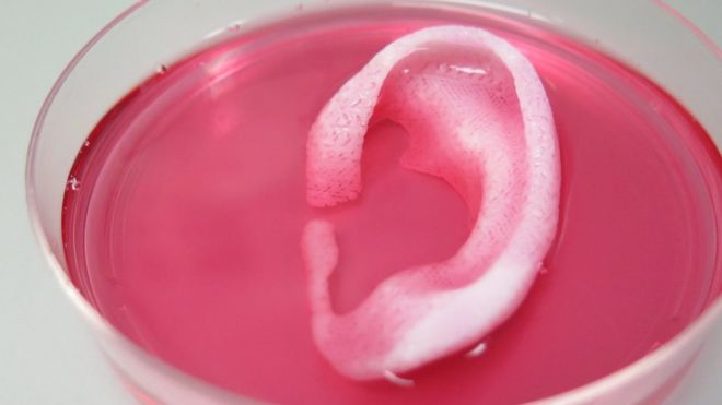 ReplicatorWorld's tweet photo. #3dprinted Living Tissue...it works in animals, will it work in humans? #3Dprinting https://t.co/1HNyN3wOi1 https://t.co/hS1Qt8Gt46