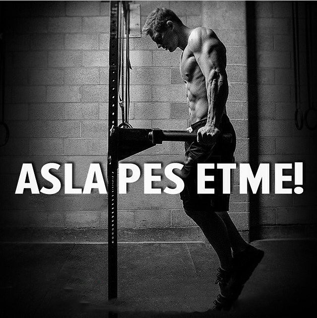 sporsalbilgiler tweet picture