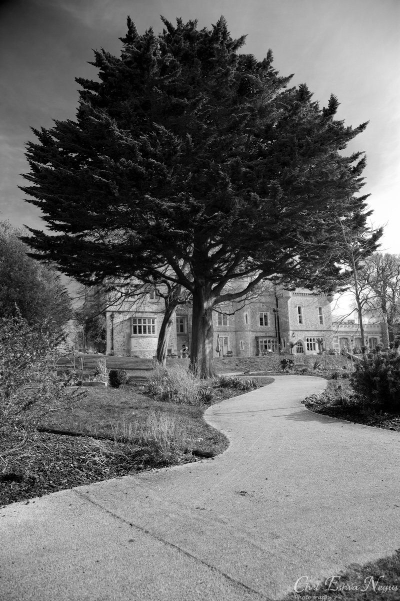 Taken in the #castle grounds today. <a href="/WhitstableLive/">Whitstable Live</a> @wowwhitstable @SeeWhitstable #whitstablecastle #whitstable