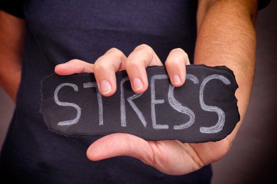 ScienceDaily's tweet photo. Long-Term Stress Erodes Memory: Study https://t.co/ffBnk7repx https://t.co/L14rjiv4Zw