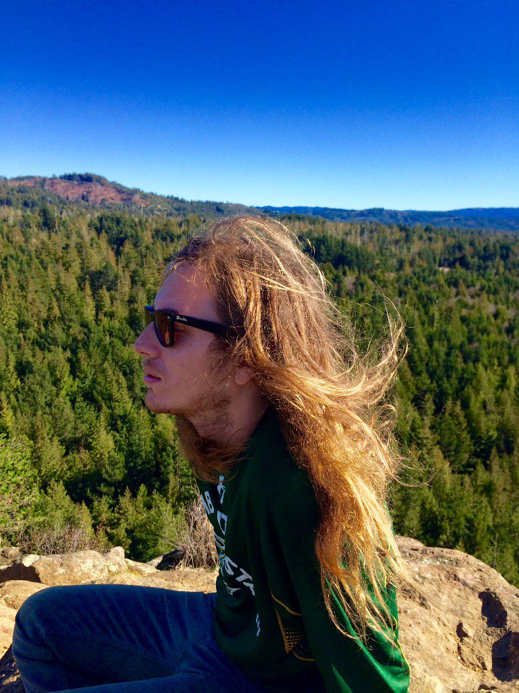 Hauloverzack's tweet photo. Wavy treeeees https://t.co/Gd5C8qLFZd