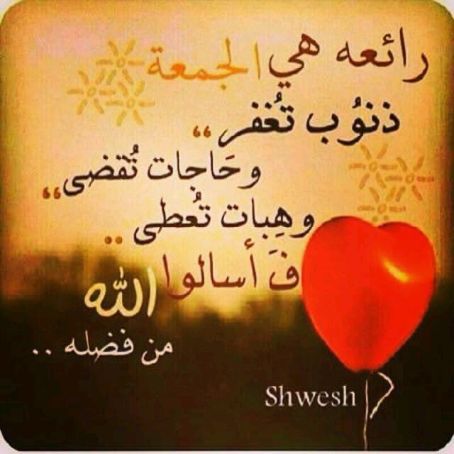 HAdosry's tweet photo. https://t.co/pQqaApMGNZ