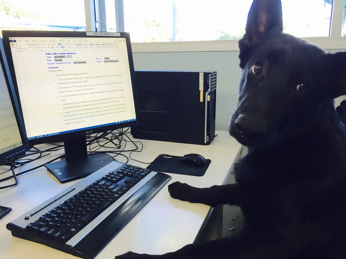 QldPolice's tweet photo. Can we trust Hendrix' version of events in his statement? #TheHendrixExperience https://t.co/SD05ymV6qZ https://t.co/hFnIM3M8Hb