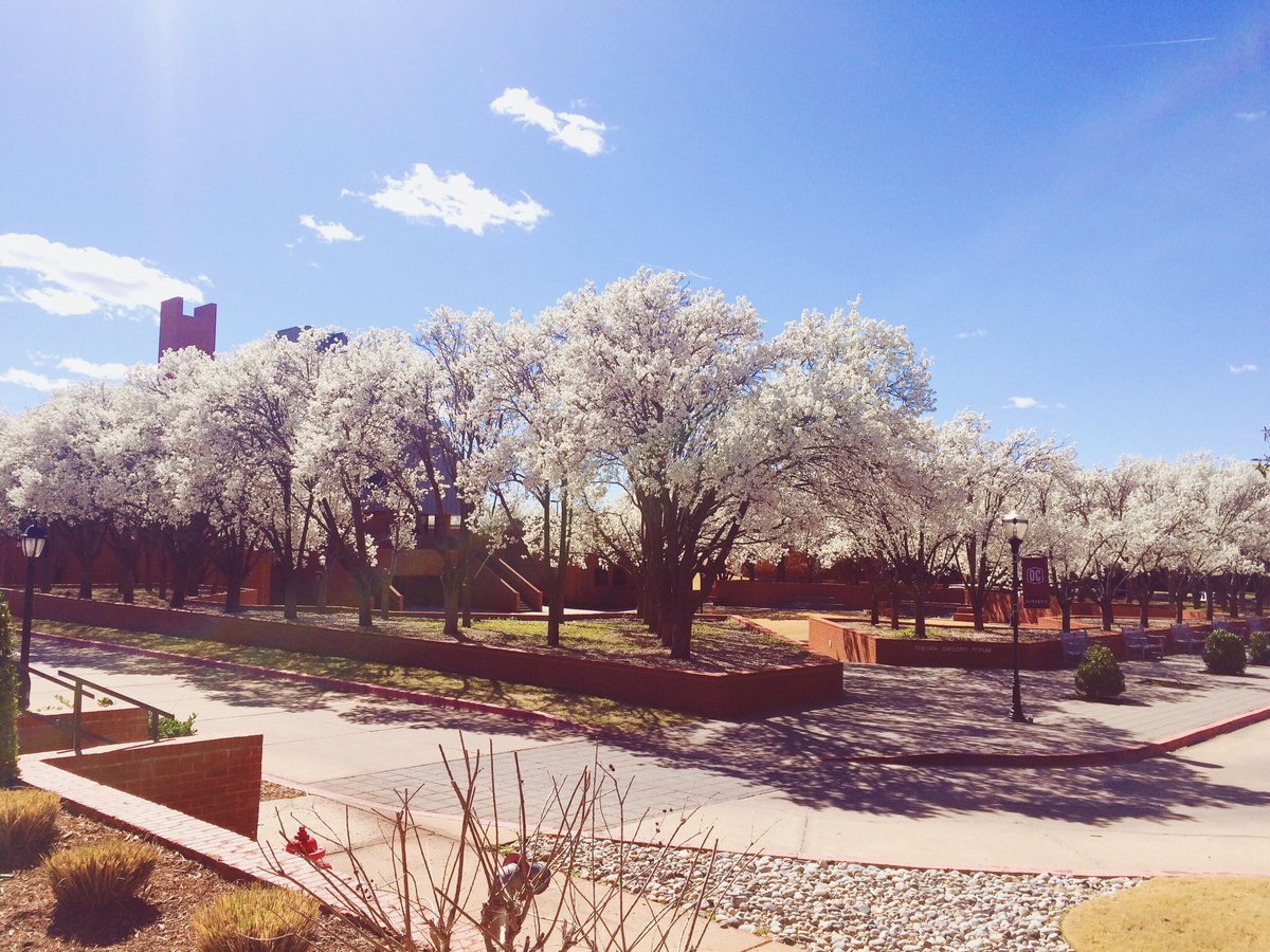OC_admissions's tweet image. Spring came to campus, and so should you! Can&apos;t wait to see all of our #OCSpringVisit guests tomorrow.