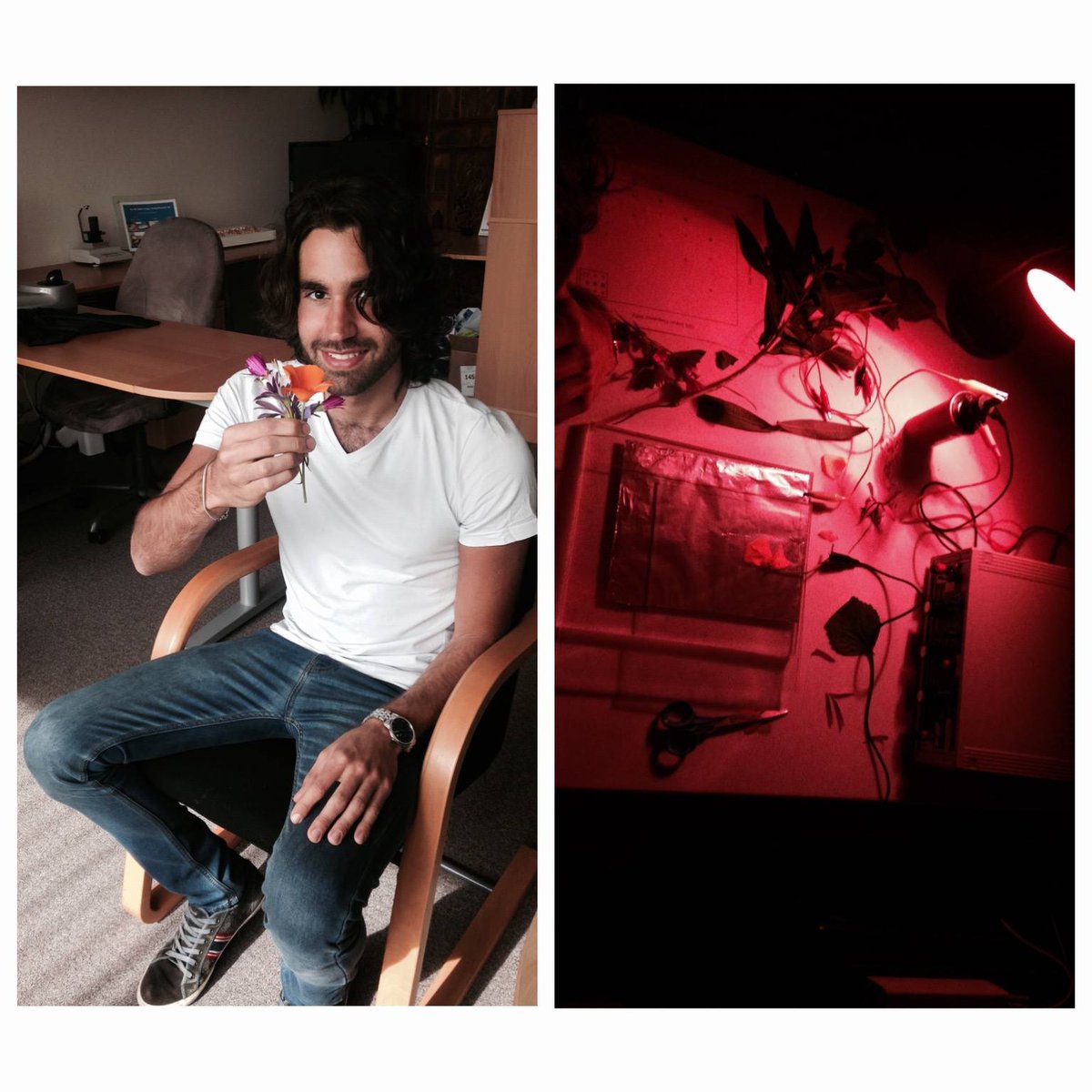 PsyTekEnergyLab's tweet image. #phantomleafexperiment #subtleenergy #science