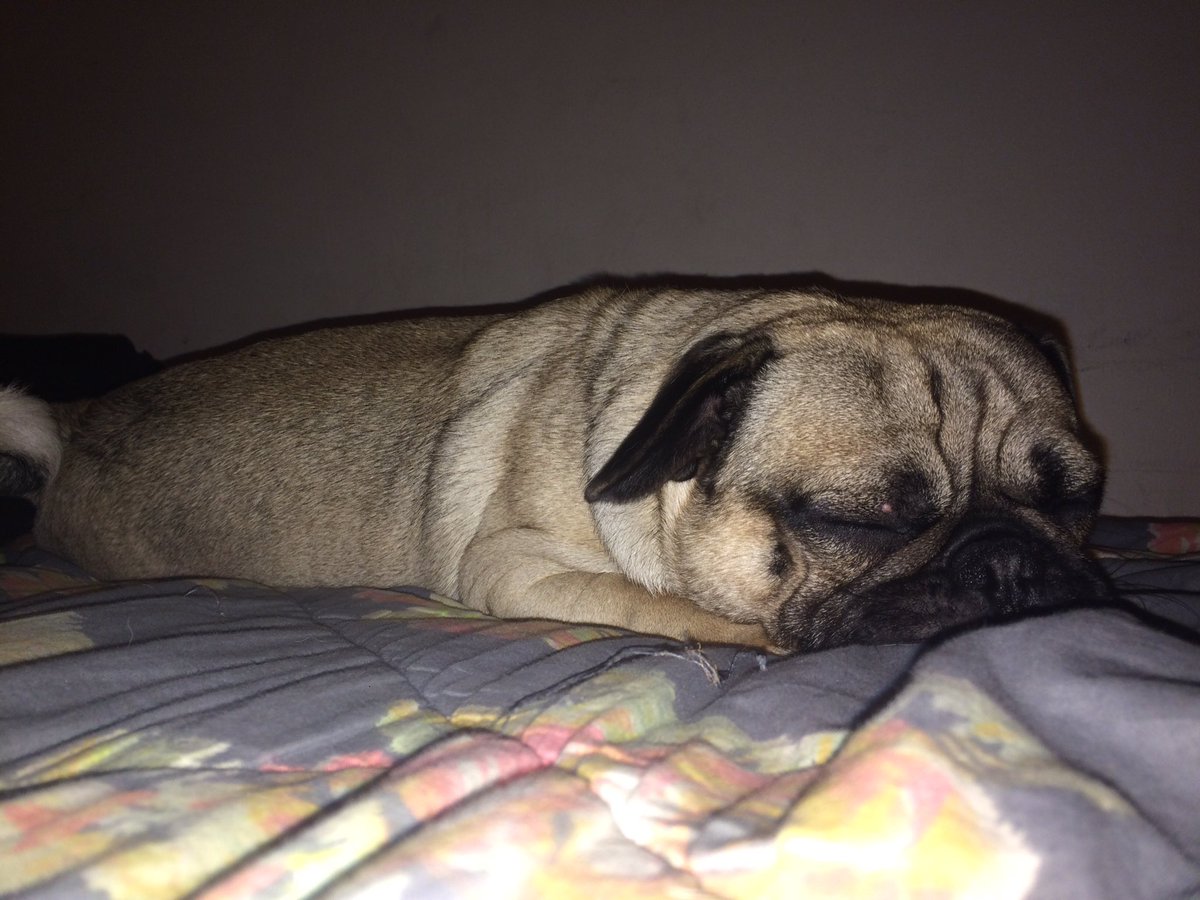 Today has been a ruff day :(