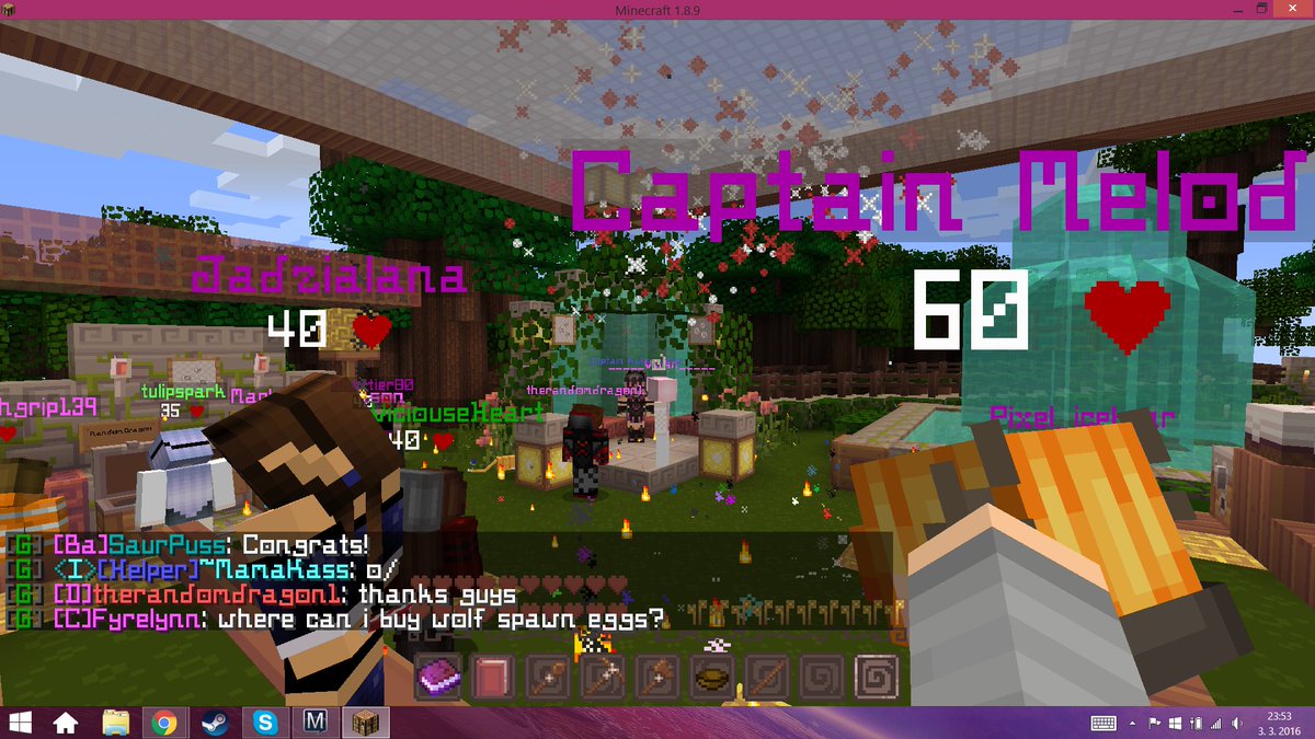 || Attended a beautiful wedding... on a minecraft server...