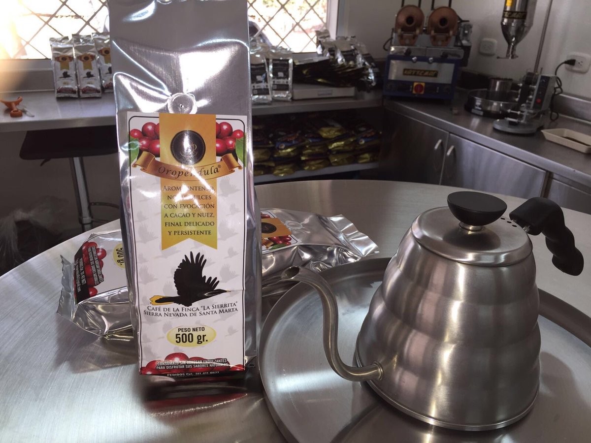 CAFICOSTA's tweet photo. OROPENDULA primera maquilla Café de finca Productora Asociada María Cristina Rodríguez SIERRA NEVADA #cafesanjavier https://t.co/YYIztjju76
