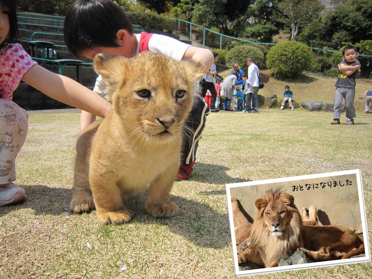まちかど動物園、現在開催中！飼育員が撮ったベストショット75．本日