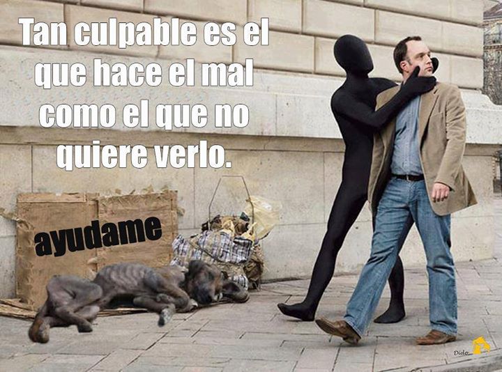 CanalAnimal's tweet photo. Se agradece ReTweet!! Por favor compartir y difundir!! https://t.co/sbMmHjgSDO
