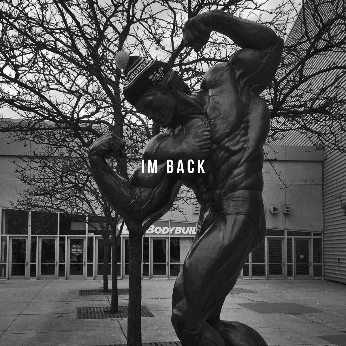 361usa's tweet photo. "I'm back!! Only one degree beyond." #ArnoldStatue #arnoldclassic #arnoldclassic2016 #arnoldclassics https://t.co/8vKmbvfu29