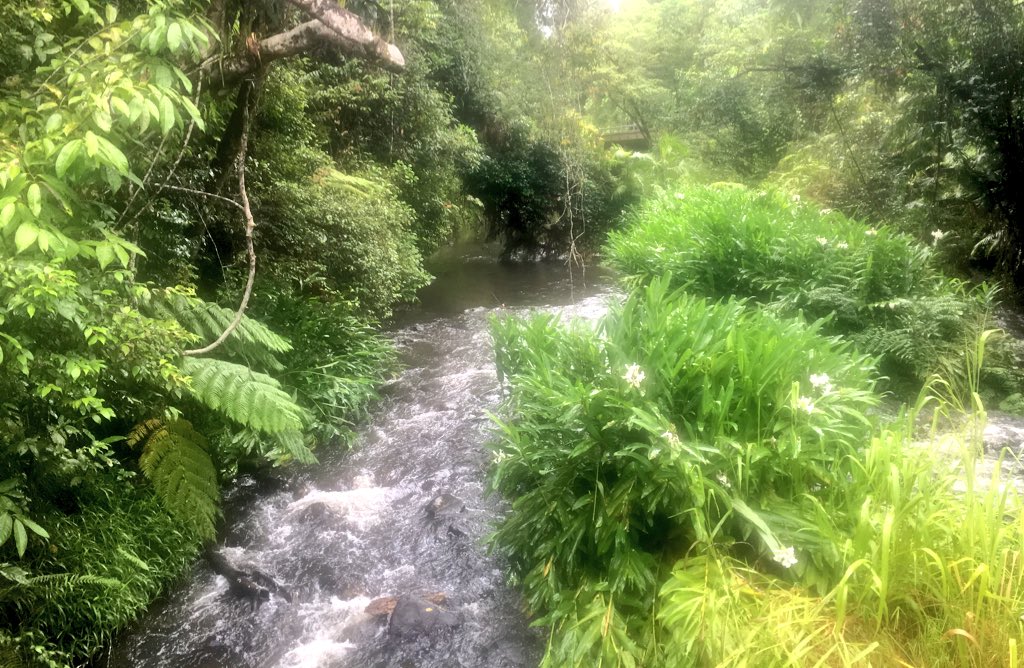 Far Out Queensland tweet media