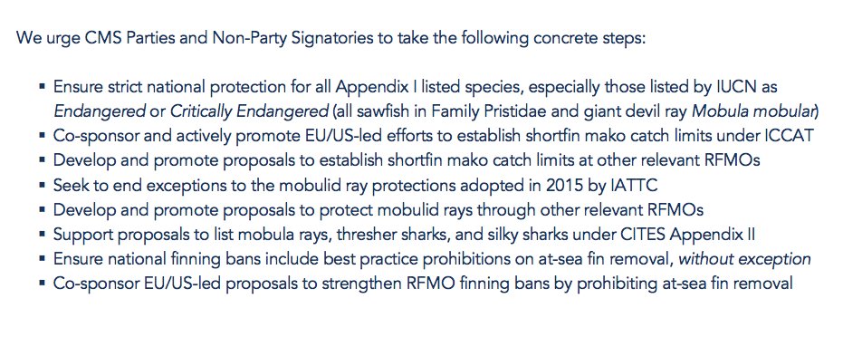 SharkAdvocates's tweet photo. #WorldWildlifeDay Recap: Actions we highlighted at #SharksMOS2 for CMS Parties & #SharksMOU Signatories #InOurHands https://t.co/SGzf2pnSTX