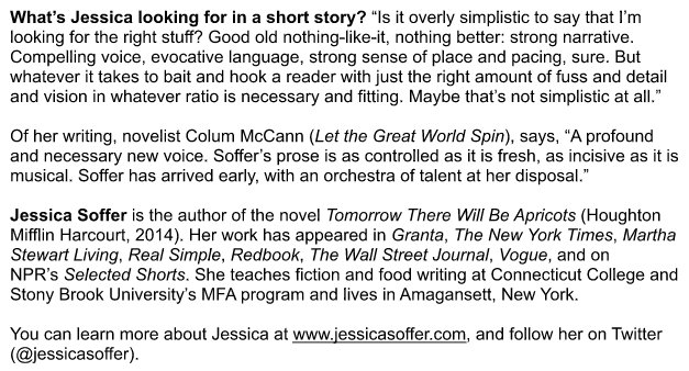 We're pleased to announce <a href="/JessicaSoffer/">Jessica Soffer</a> is our Guest Fiction Editor for Spring/Fall 2016! Here's a bit about her: