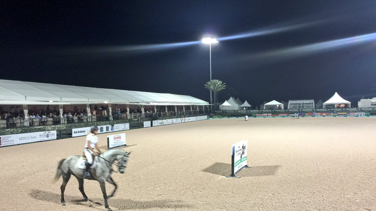 Tamso's tweet photo. A differed kind of sale to see... Here's the catalogue and pics from WEF Sport Horse auction tonight #VDLStud https://t.co/AyW0YZLV94