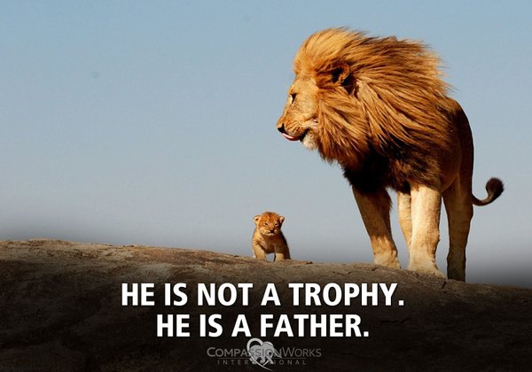 BellaLack's tweet photo. #BanTrophyHunting https://t.co/2LPi49zOhr