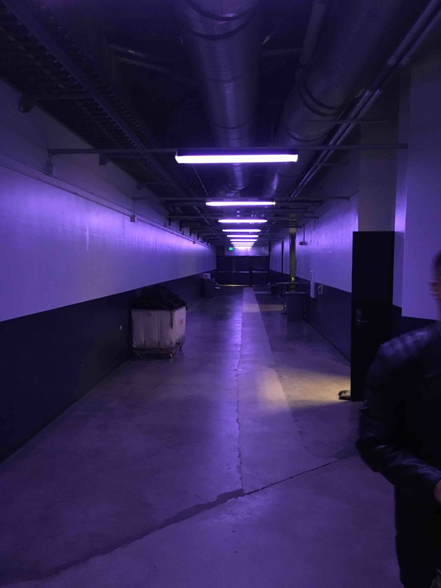 Think they were expecting someone special tonight at <a href="/OracleArena/">Oracle Arena</a>????? #PurpleRain