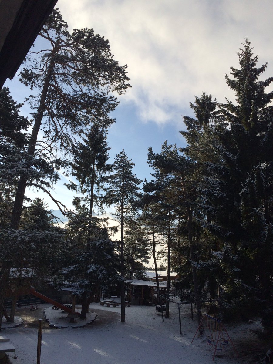 Brenda Matthijs tweet media