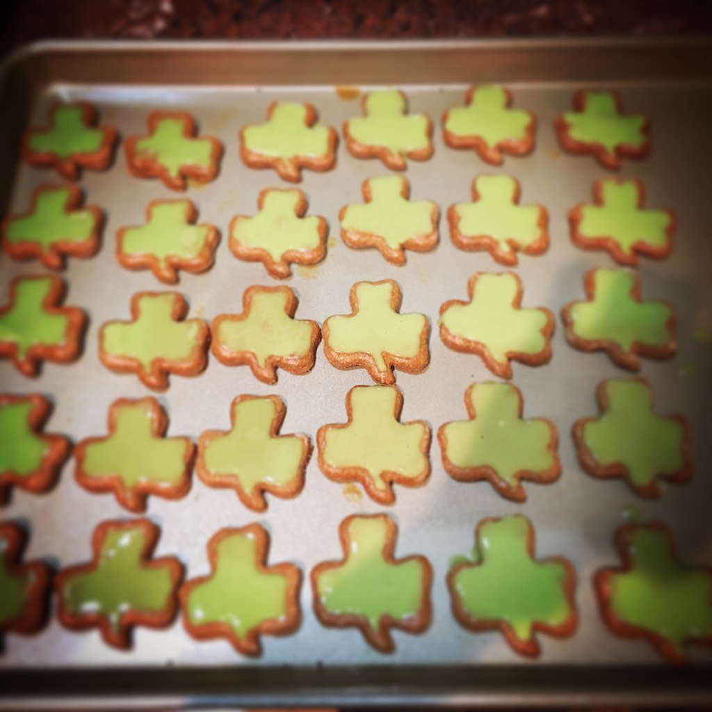 dogsd_rule's tweet photo. Getting ready for Saint Pawtrick's Day #dog #dogsoftwitter #paws #dogtreats https://t.co/wP1hT4WPzy