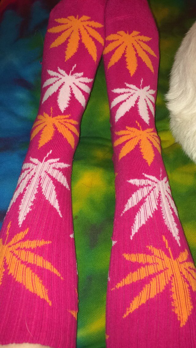 stonedexplorer's tweet image. 