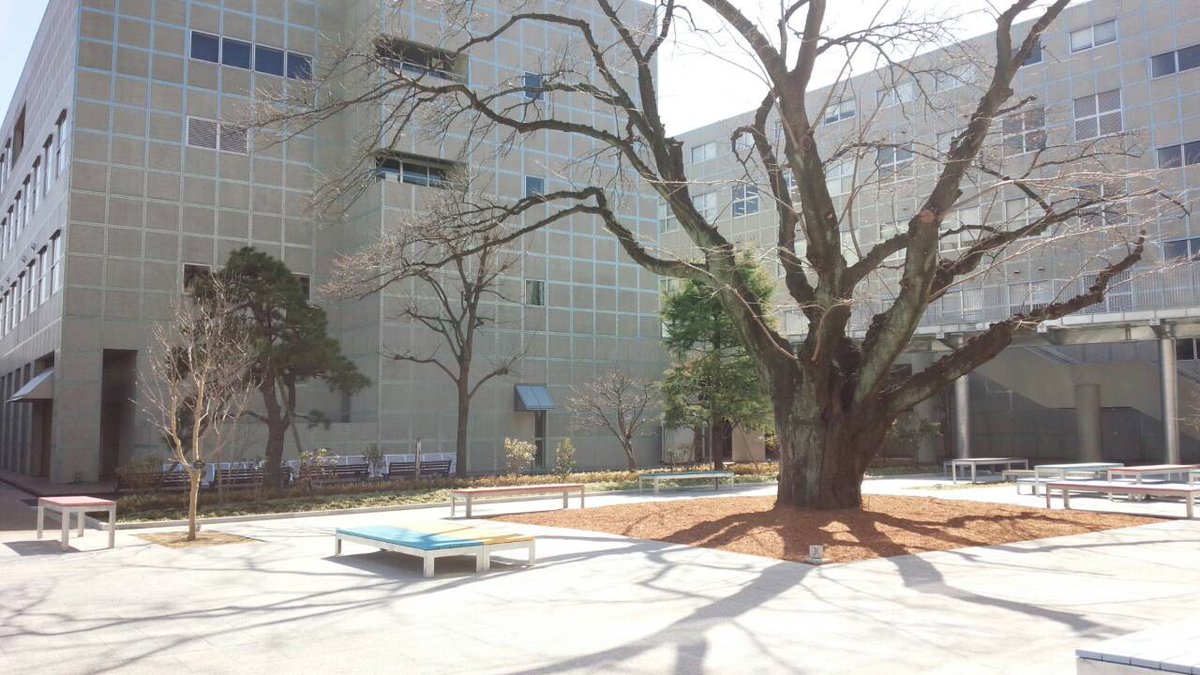 2017年度実践女子大学新入生 على تويتر 日野キャンパス 渋谷キャンパスもかなりきれいですが 日野キャンパスも一部の校舎が新しくなりました とてもきれいです のどかな日野 きれいな校舎もできて入学式もワクワクですね Https T Co Crzej3lrea
