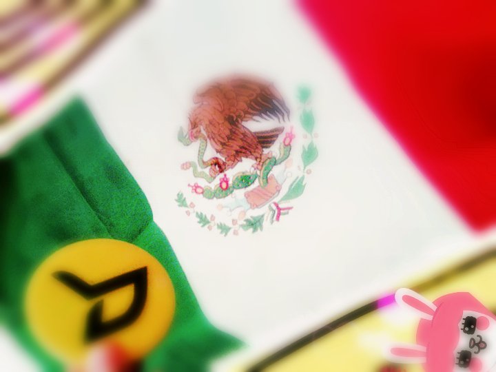 NaiCosplayer's tweet photo. ¡Oh yes!
#BlockB
#BBCMexico #BlockBinLatinoamerica #BlockBinMexico2016 @blockb_official @_mymusictaste @7seasons2013 https://t.co/M7Tos7O1BC