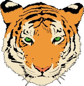 xprimitivexs259's tweet photo. #tigerborn https://t.co/7YKjZB4xqi