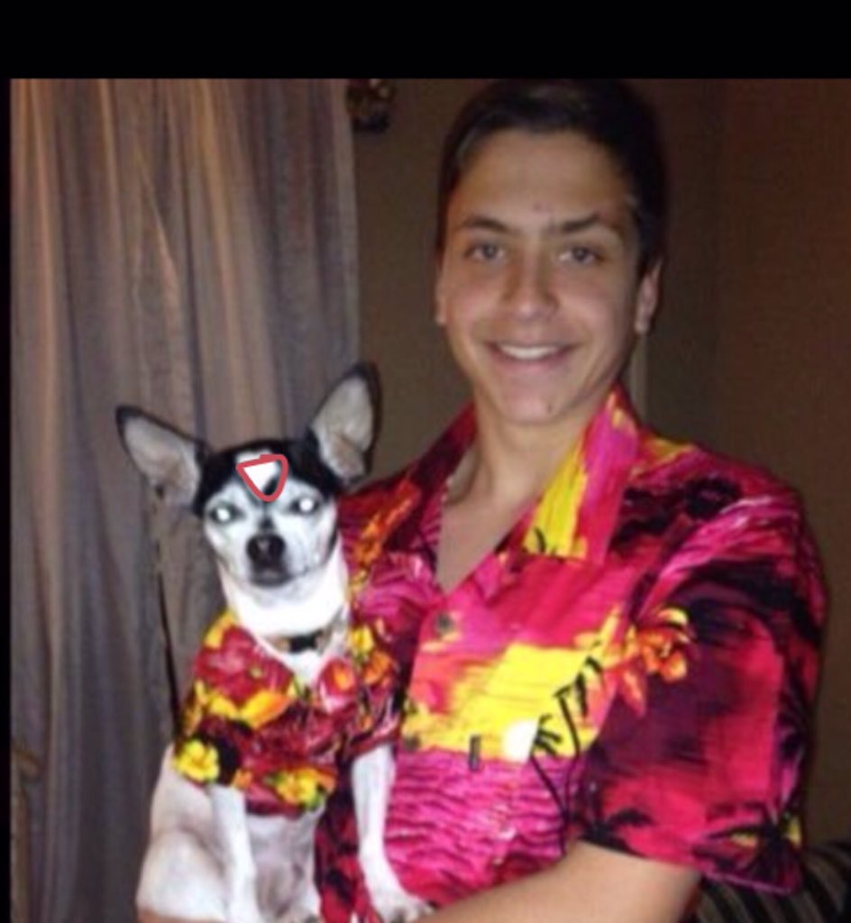 headcoach2g1c's tweet photo. @Joey_Pumo5 @DatSoccerSquad what's wrong with ur dog bruh https://t.co/0i7Vik1be5