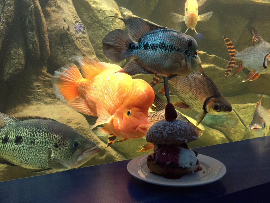 AmazonBasin's tweet photo. Dessert burger at the basin https://t.co/TREStZzDep