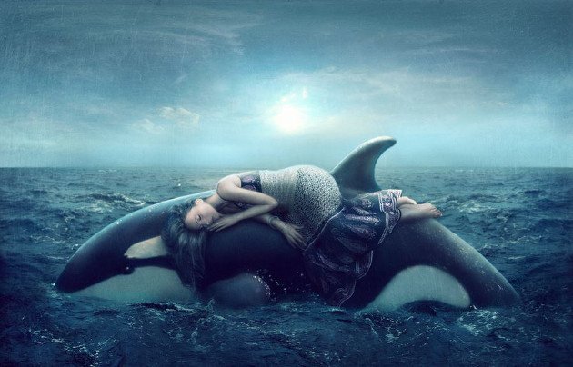 DreamTeamMLMPro's tweet image. Without leaps of imagination, or dreaming, we lose the excitement of possibilities.