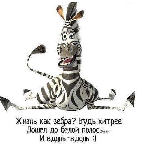 Izhevsk_life's tweet image. Желаю всем белой полосы.) #добрыйденьдрузья #love #ижевск #пятница #хорошеенастроение by katrin_smirnova_ #izhevsk …