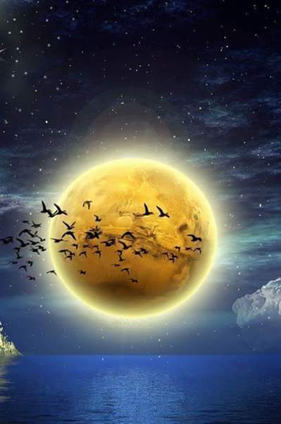 travieza_J442's tweet photo. @liluces @PiliVarela77 @profcancun @yanikitty @manuelfrz #BuenasNochesDLB https://t.co/D7sMWw0QHy